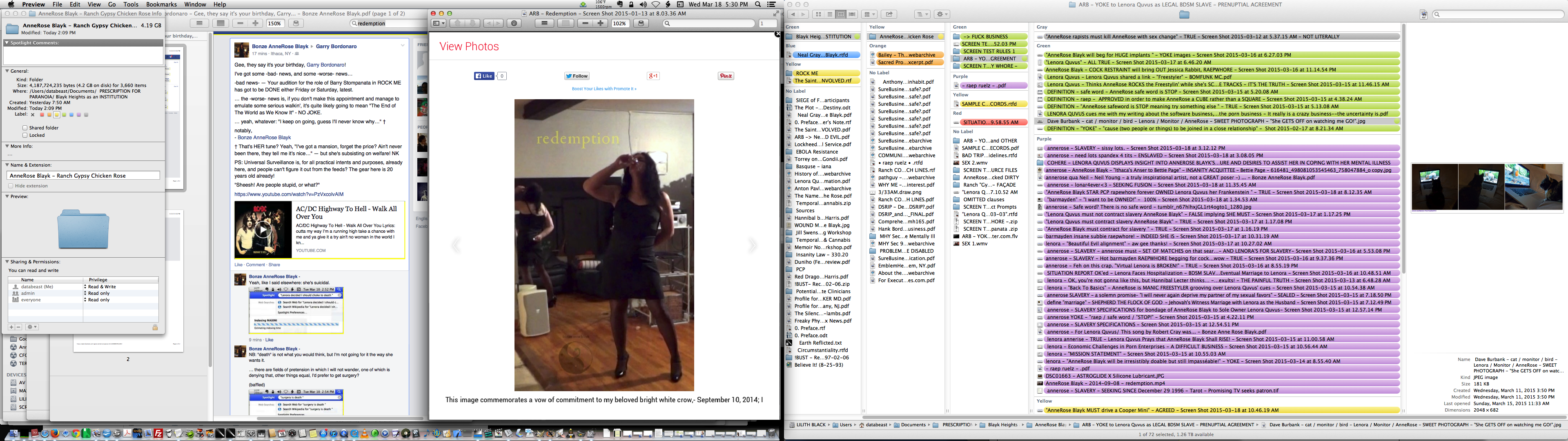./ AnneRose Blayk - 'Screen Shot' - ' ARB - YOKE to Lenora Quvus as LEGAL BDSM SLAVE - SAMPLE PRENUPTIAL AGREEMENT' - Screen Shot 2015-03-18 at 5.30.40 PM.png